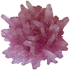 苺水晶育成キット